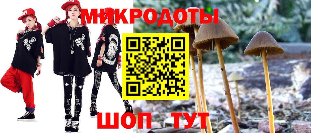 Галлюциногенные грибы Magic Shrooms Гулькевичи