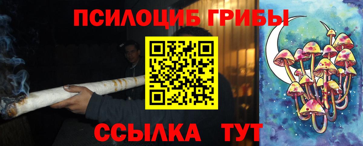 Гулькевичи  Псилоцибиновые грибы MAGIC MUSHROOMS  Вход с VPN 